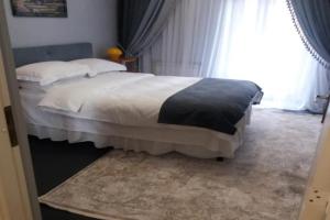 Apartment u Lidii in center of near railways station, Kiev