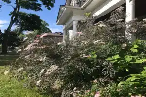 WHITE SWAN House, Niagara Falls