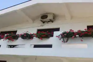 Apartman Tripkovic, Bar