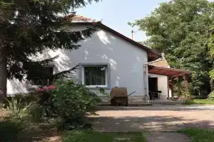 Borostyán 20 Vendégház Apartments, Sarospatak