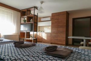 Studio Apartments Maksimović, Nis