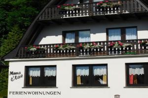 Ferienwohnungen Haus Else Apartments, Willingen