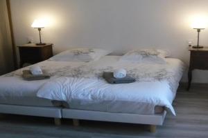 Maison des écluses F3 90m2 Jacuzzi Climatisation Guest house, Strasbourg