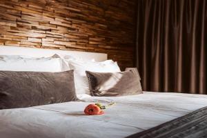 B&B Mini-hotel, Rotterdam
