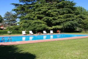 furry frinds with family home Guest house, Faenza