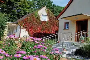 Ferienwohnungen im Ostseebad Baabe Apartments, Ostseebad Sellin