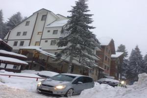 Apartment Lazic Villa Suri, Kopaonik