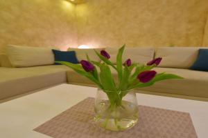 Apartman Centar Bg, Belgrade