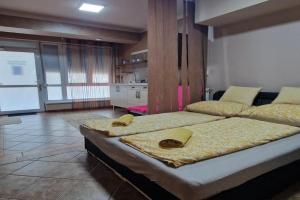 Splendor apartman, Debrecen