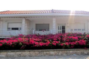 Don Vito Guest house, Marina di Mancaversa