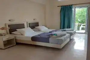 Antonio Studios, Alikanas