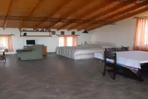 Cozy apartment in Aygedzor street, Yerevan