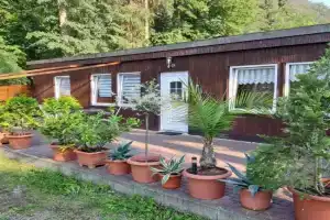 "Waldhäuschen" am Waldesrand Guest house, Wernigerode