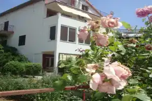 Apartments by the sea, Hvar - 14754, Jelsa