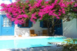 Syros-Home in nature Guest house, Syros Island