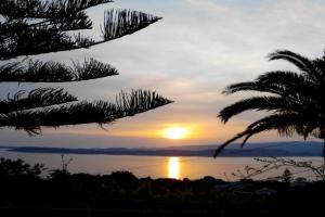 Mediterranean Studios, Argostoli