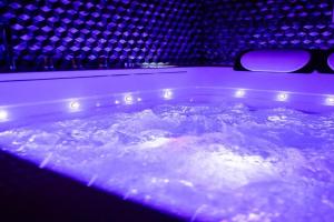Suite Glamour & Spa Apartments, Dijon