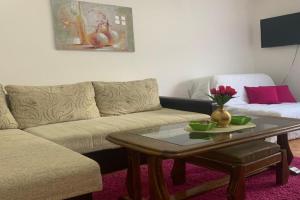 Vlajković apartmani, Vrnyachka Banya