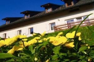 Apartmaji Pri Kokolu, Bled