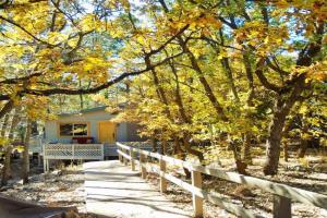 Cozy Mountain Home with Deck and Firepit-1 Mile from Downtown! Guest house, Flagstaff