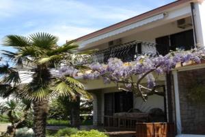 Apartment 15259b, PUNAT
