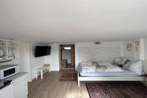 Apartment Harmony, Graz