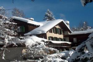 FERIENWOHNUNGEN Chalet Hohturnen, Grindelwald