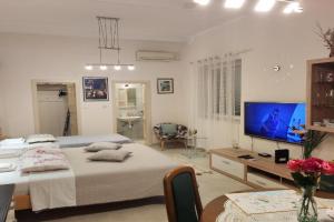 Studio Queen, Split