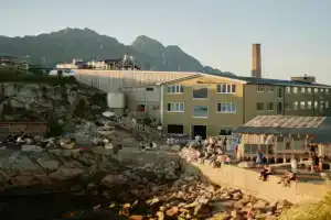 Trevarefabrikken Mini-hotel, Henningsvaer