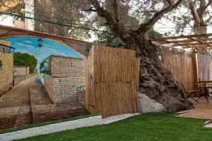 Mendy's Accommodation Guest house, Safed