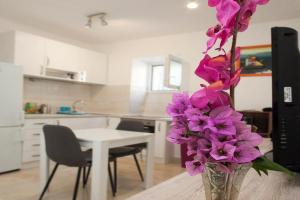 King's Garden Studio, Split