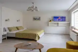 Classic Old Town Apartment, Druskininkai