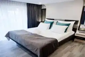 Willowa NO. 5 APARTAMENTS, Wisla