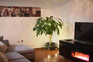 The House of Cinema, Guanajuato
