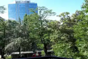 Luxury Apartments Darvina Street, Kiev