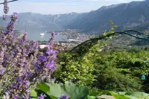 Big Hill Apartment, Kotor
