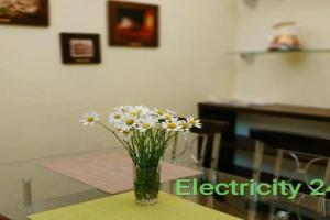Lviv City Apartment, Lvov