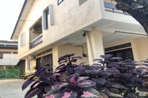 Little Cozy Homestay, Kota Bharu