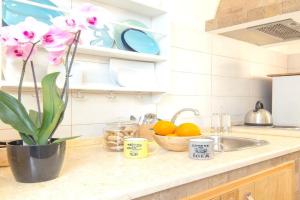Cozy apartment in 27 m² with garden balcony, Marsala