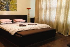 Apartmán Stursovka, Brno