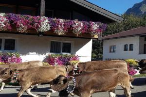 Ferienwohnung Schanzenblick Apartments, Oberstdorf
