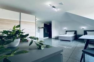 Lipp Apartments, Koln