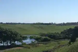 Little house on the hill, Wanganui