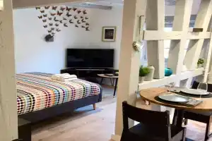 Le STUDIO 1586 - Centre historique, Colmar