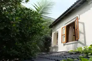 Moon house tropical garden - Lavender, Nha Trang
