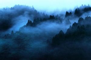 "Mount'n mist" Guest house, Ella