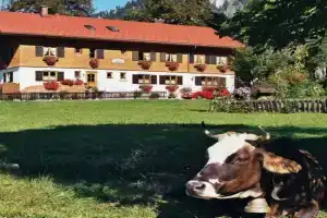 Gästehaus Hedwig Apartments, Bad Hindelang