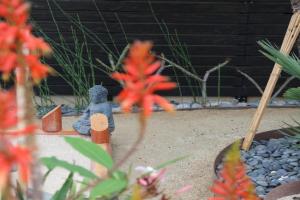 Kaza Kokos Guest house, Oceanside