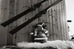 Chalet Fiocco di neve, Passo del, Tonale