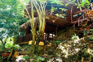 Jungle Face Inn, Ella